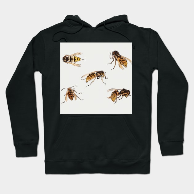 Studies of wasps by Julie de Graag (1877-1924). Hoodie by Rosettemusicandguitar